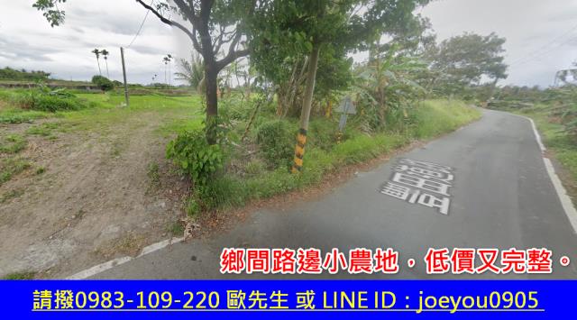 台東法拍農地-10