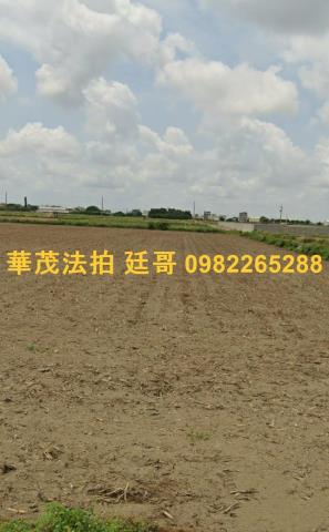 台南拍賣農地-0