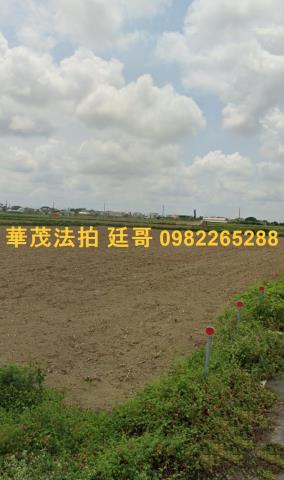 台南拍賣農地-6