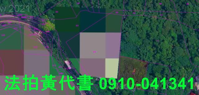 士林建地法拍-10