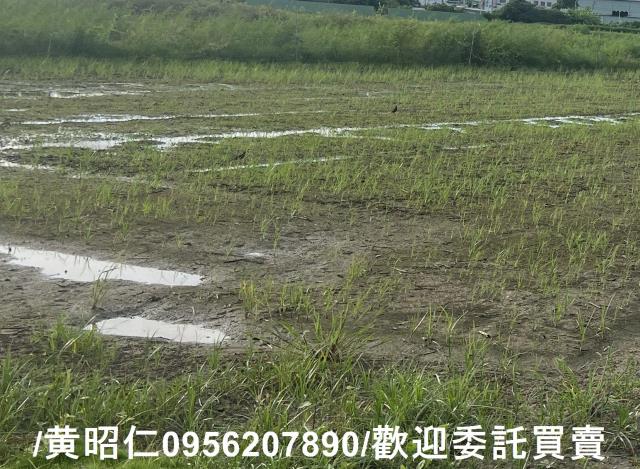 高雄岡山農地-4