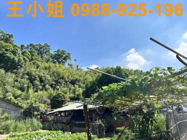 蘆竹農地-11
