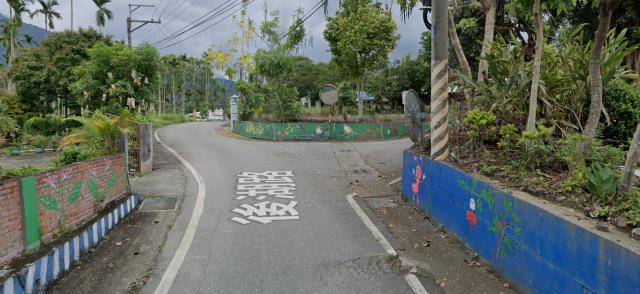 花蓮法拍建地-5