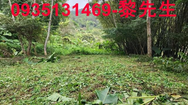 新竹橫山農地_建地-12