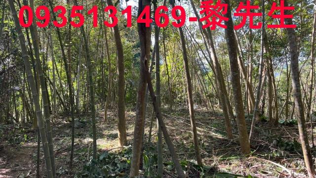 新竹橫山農地_建地-4