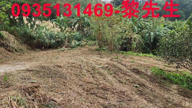 新竹竹東農地-11