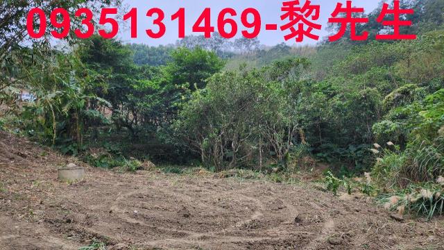 新竹竹東農地-3