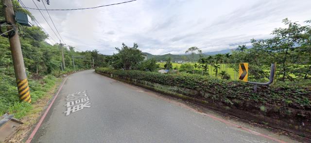 富里農地_山坡地法拍-12