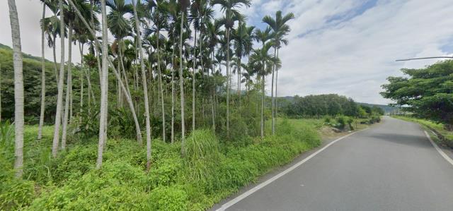 花蓮法拍農地_原住民保留地-12