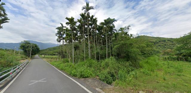 花蓮法拍農地_原住民保留地-13