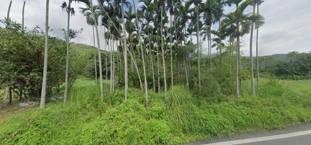 花蓮法拍農地_原住民保留地-9