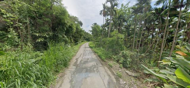 花蓮農地_山坡地_原住民保留地拍賣-8