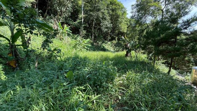 新竹關西農地_山坡地_休閒地-11