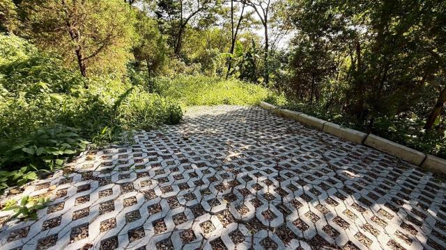 新竹關西農地_山坡地_休閒地-2
