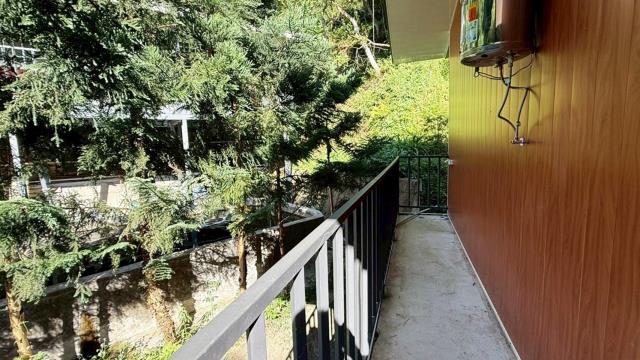 新竹關西農地_山坡地_休閒地-4