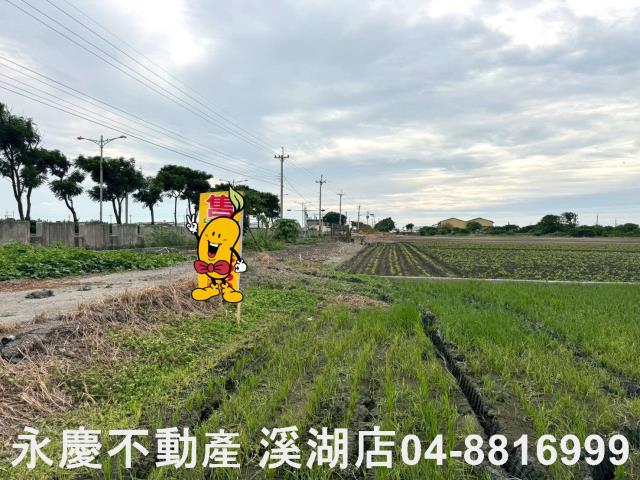 大城農地-2