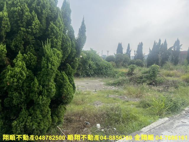 溪湖農地-6