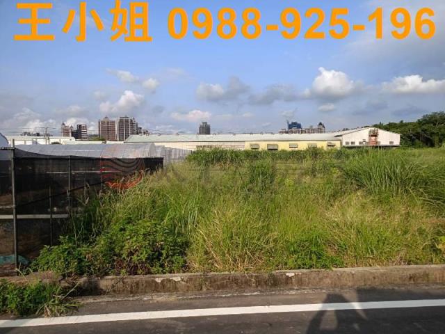 蘆竹農地-3