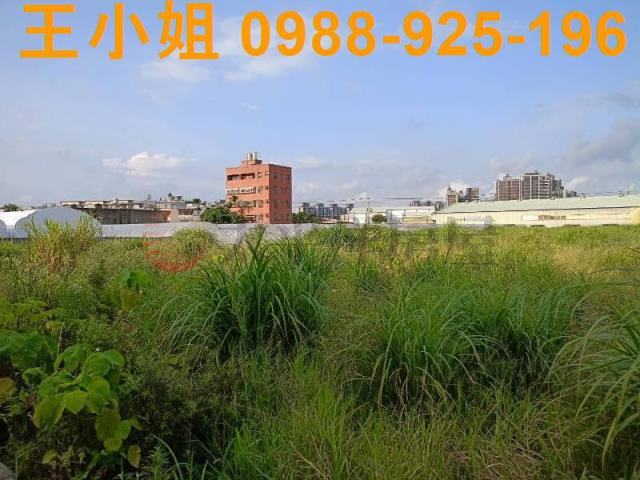 蘆竹農地-4