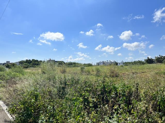 觀音農地_建地-2