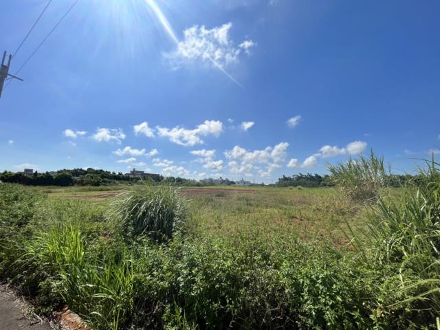 觀音農地_建地-4