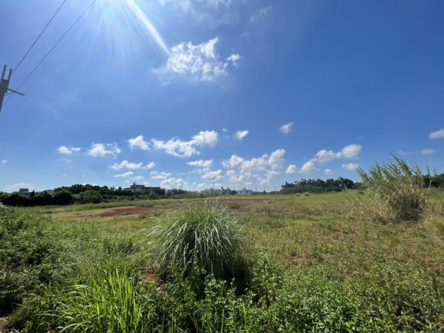 觀音農地_建地-5