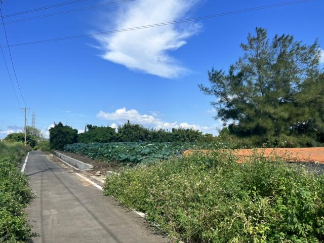 觀音農地_建地-6