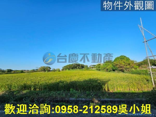 新竹農地_建地-3