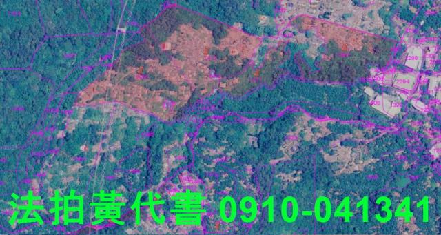 新北八里休閒地_保護區法拍-3