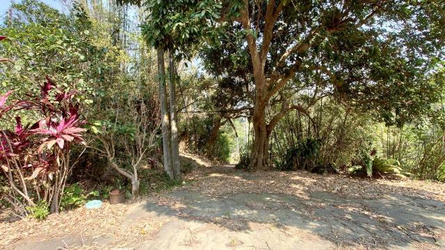 新竹寶山農地_建地_山坡地-15