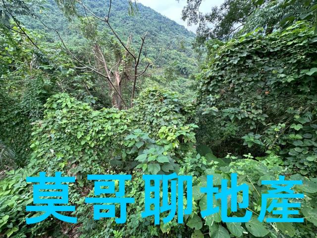 太平山坡地_休閒地_林地-13