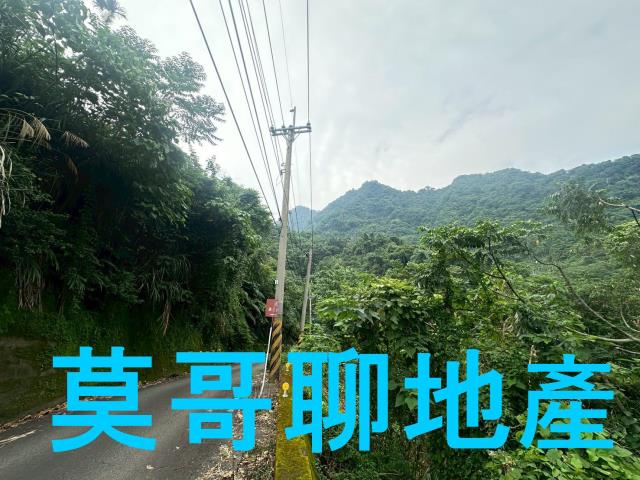太平山坡地_休閒地_林地-14