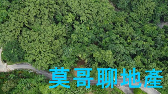 太平山坡地_休閒地_林地-2