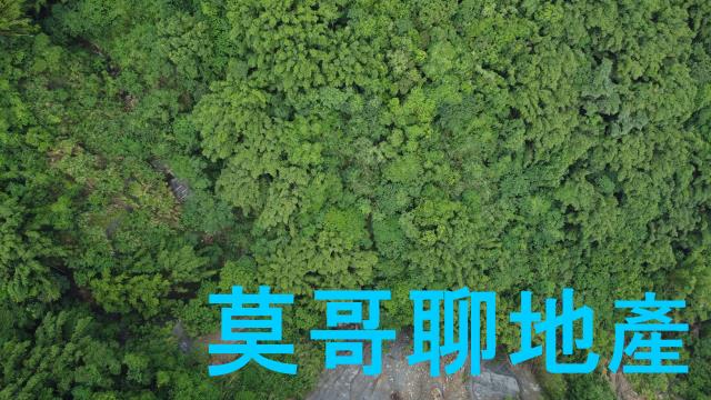 太平山坡地_休閒地_林地-4