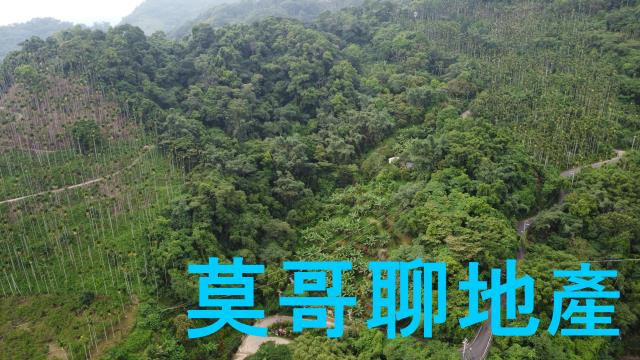 太平山坡地_休閒地_林地-5