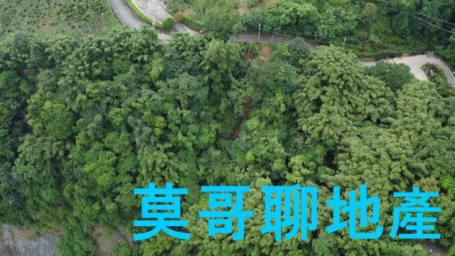 太平山坡地_休閒地_林地-7