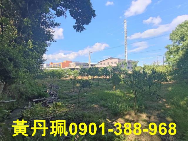 桃園中壢農地_休閒地-5