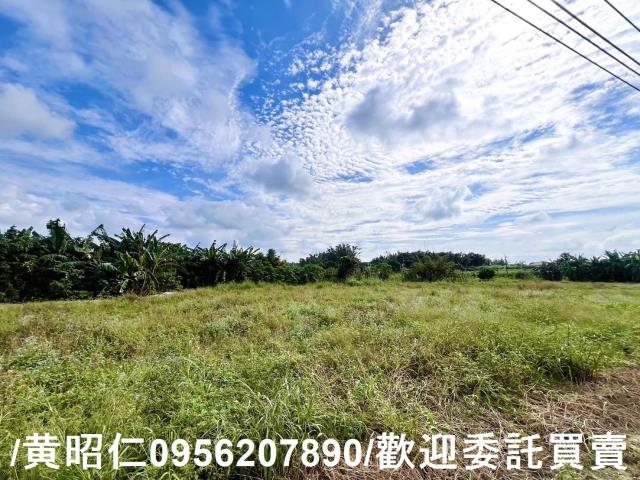 左鎮農地_建地-3