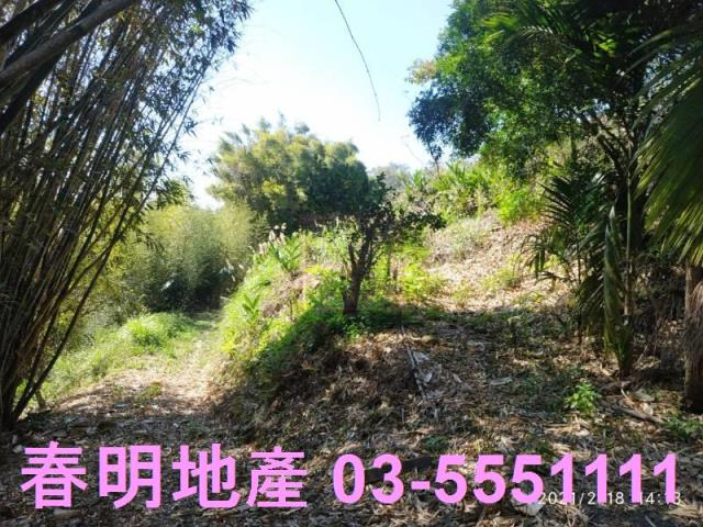 芎林農地_林地-12