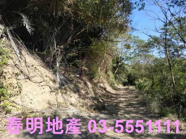 芎林農地_林地-4