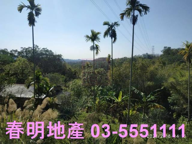 芎林農地_林地-5
