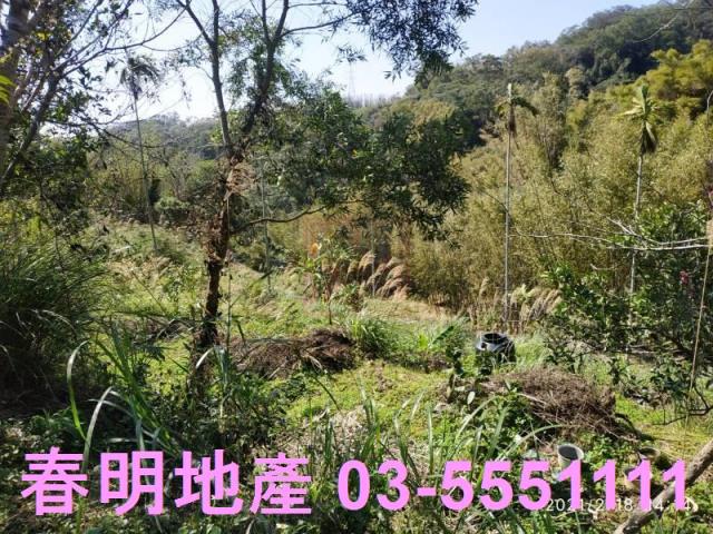 芎林農地_林地-6