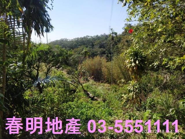 芎林農地_林地-9