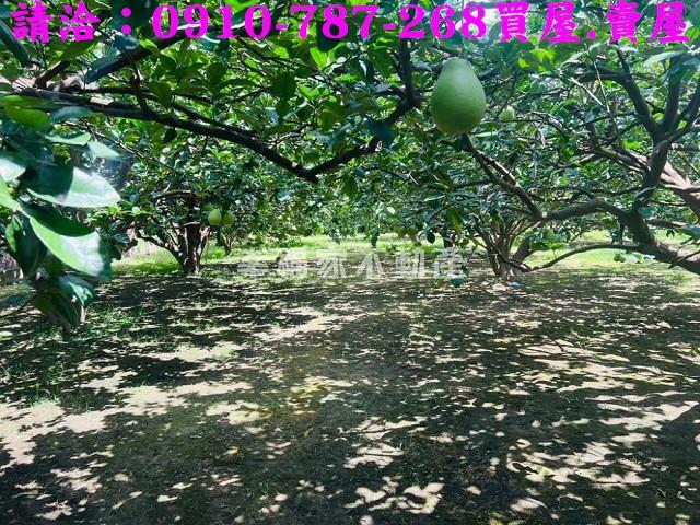 台南農地-13