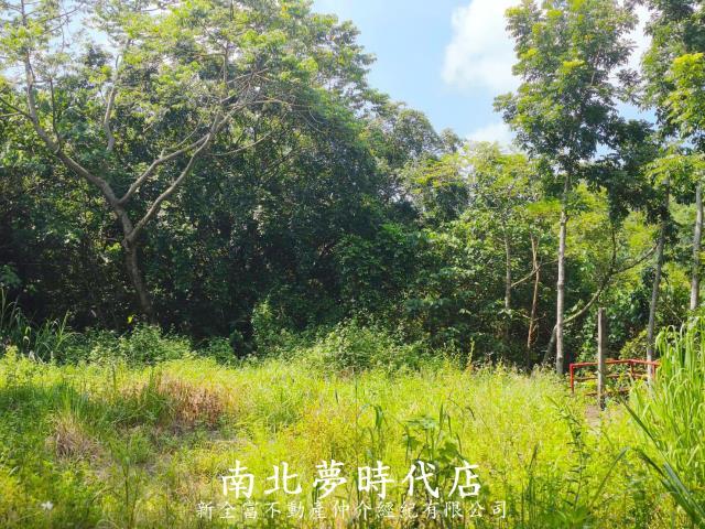 台南龍崎農地_建地-6