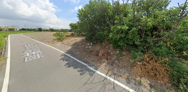 大安區農地法拍-12