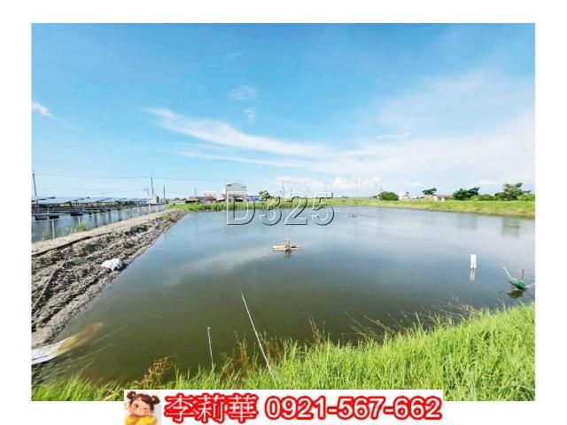 台南農地_養殖地-7