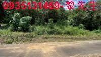 新埔農地_建地_林地-1