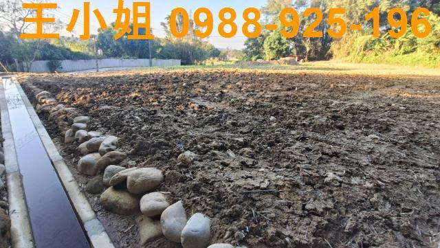桃園農地_建地-3