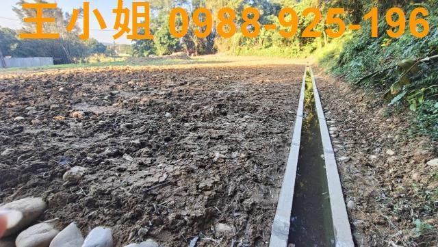 桃園農地_建地-4